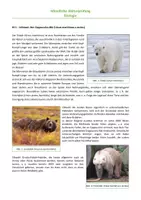 Vorschau - Test - Abitur Biologie – Mündliche Prüfung (Eisbären, Ökologie, Evolution) - Deckblatt