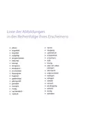 Vorschau - Fördermaterial/Inklusion - Gefühle Bildkarten - Seite 3