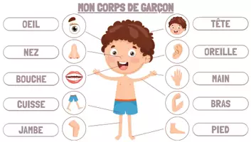 Aperçu - Jeux - ATELIER DE MANIPULATION - LES PARTIES DU CORPS HUMAIN - EN FRANCAIS - Page 2