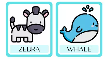 Vista previa - Tarjetas / Manipulativos - ANIMALS: FLASHCARDS - página 3