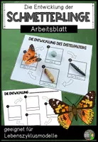 Vorschau - Arbeitsblätter - Arbeitsblatt für Lebenszyklusmodelle (Schmetterling/Distelfalter) - Deckblatt