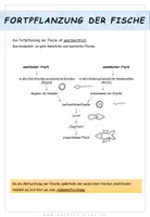 Aperçu - Feuilles d'exercices - Biologie: Fische - Page 2