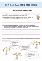 Aperçu - Feuilles d'exercices - Biologie: Der Mensch - Eigenschaften und Aufbau der Knochen - Page de couverture