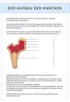 Aperçu - Feuilles d'exercices - Biologie: Der Mensch - Eigenschaften und Aufbau der Knochen - Page 2