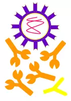 Vorschau - Präsentationen/Tafelbilder - Tafelbilder (Viren) - Seite 1