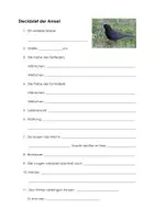 Vorschau - Arbeitsblätter - Die Amsel - Steckbrief und Quiz - Seite 1