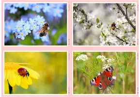 Vorschau - Bildkarten - Fotos - Frühling - Seite 2