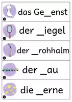 Vorschau - Fördermaterial/Inklusion - Tafelkarten | st oder sp? - Seite 1