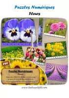 Aperçu - Apprentissages en autonomie - Puzzles numériques - Fleurs - Bande blanche - Page de couverture