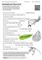 Vorschau - Arbeitsblätter - Arbeitsblatt "Larve" + Onlineübung & MP3 + - Deckblatt