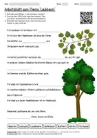 Vorschau - Arbeitsblätter - Lernposter + Arbeitsblatt "Laubbaum" + Onlineübung & MP3 + Mindmap + Infografik - Seite 1