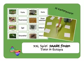 Vorschau - Spiele - spielend lernen! XXL Paare finden TIERE in EUROPA - Deckblatt