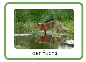 Vorschau - Spiele - spielend lernen! XXL Paare finden TIERE in EUROPA - Seite 3