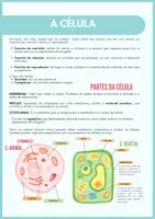 Vista previa - Unidades / Secuencias / Situaciones de Aprendizaje - Ciencias Sociais: todos mis materiales - página 2
