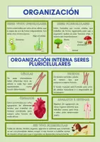 Vista previa - Unidades / Secuencias / Situaciones de Aprendizaje - Ciencias Sociais: todos mis materiales - página 3