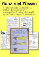 Vorschau - Arbeitsblätter - Das Auge- Materialsammlung (Arbeitsblätter, Übersichten, Minibuch, Tafelmaterial)Sachunterricht - Biologie - NaWi - Seite 1