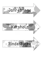 Vorschau - Stundenentwürfe - Einführung Holz - Werken und Gestalten 3. Klasse - Seite 2