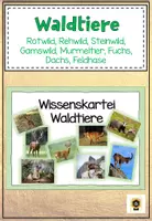 Vorschau - Präsentationen/Tafelbilder - Wissenskartei Waldtiere - Deckblatt