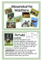 Vorschau - Präsentationen/Tafelbilder - Wissenskartei Waldtiere - Seite 2