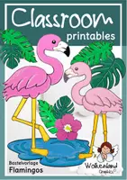 Vorschau - Mal- und Bastelvorlagen - Flamingo Fensterbild & Bastelvorlage – Sommer Kunstunterricht Grundschule Klasse 1–4 | Dschungel | Flamingos basteln - Deckblatt