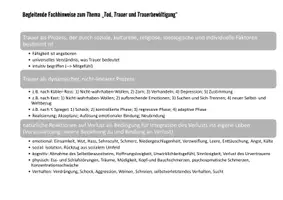 Vorschau - Anderer Materialtyp - Fachinformationen für Lehrkräfte: Tod, Trauer und Trauerbewältigung - Seite 2