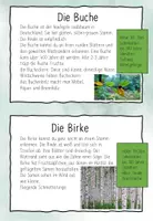 Vorschau - Stundenentwürfe - Baumarten - Seite 2