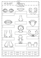 Vorschau - Arbeitsblätter - My body - vocabulary - Seite 1