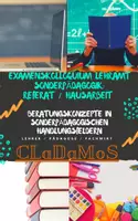 Vorschau - Fördermaterial/Inklusion - Examenskolloquium Lehramt Sonderpädagogik: Referat / Hausarbeit - Beratungskonzepte in sonderpädagogischen Handlungsfeldern - Beratung Pädagogik Hauptseminar - Deckblatt