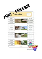Aperçu - Inclusion - Animaux de ferme Cartes avec parenthèses Freebie - Page de couverture
