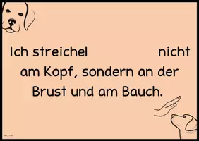 Vorschau - Präsentationen/Tafelbilder - Schulbegleithundregeln / individualisierbar (Tafelmaterial) - Seite 1