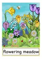 Vorschau - Bildkarten - Englisch Bildkarten spring flowers - Seite 1