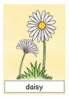 Vorschau - Bildkarten - Englisch Bildkarten spring flowers - Seite 2