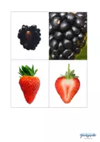 Vorschau - Stationenlernen - Gesunde Ernährung, Obst, Merkspiel - Seite 2