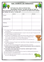 Vorschau - Spiele - Hund, Schildkröte oder Wellensittich - Logical für die Grundschule - Deckblatt
