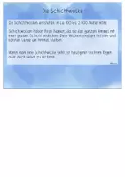 Vorschau - Text - Miss Eula Wolken Wissenskartei - deutsch - Seite 3