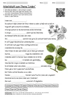 Vorschau - Arbeitsblätter - Arbeitsblatt "Linden" + Onlineübung & MP3 + Infografik - Deckblatt