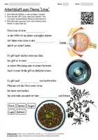 Vorschau - Arbeitsblätter - Arbeitsblatt "Linse" + Onlineübung & MP3 + Mindmap + Infografik - Deckblatt