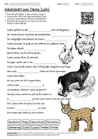 Vorschau - Arbeitsblätter - Lernposter + Arbeitsblatt "Luchs" + Onlineübung & MP3 + Mindmap + Infografik - Seite 1