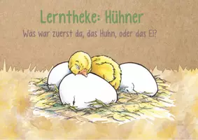 Vorschau - Unterrichtsreihen - Sachunterricht: Lesekartei das Huhn - Seite 3