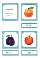 Vorschau - Fördermaterial/Inklusion - Montessori Lesedose Phonogramme pf und tz - Seite 2