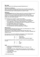 Vorschau - Arbeitsblätter - Auge Bau und Funktion - Selbstlernmaterial zum Legen - Seite 2