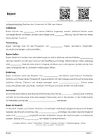 Vorschau - Arbeitsblätter - Basen (Arbeitsblatt mit Erklärvideo und Onlineübungen) - Deckblatt