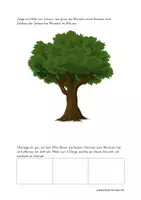 Vorschau - Arbeitsblätter - Forscherheft "Der Baum" für den Kindergarten/ 1.-2. Klasse - Seite 3