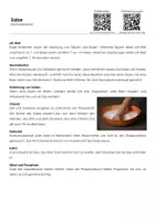 Vorschau - Arbeitsblätter - Salze - Infotext und Übungen - Deckblatt