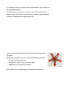 Vorschau - Stationenlernen - Weihnachten (Mathematik) - Deckblatt