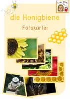 Vorschau - Bildkarten - Honigbiene - Fotokartei / Biene Bilder Kartei - Deckblatt
