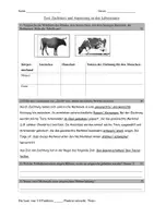 Vorschau - Fördermaterial/Inklusion - Test: Zucht und artgerechte Tierhaltung, differenziert, veränderbar - Seite 2