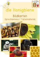 Vorschau - Poster - die Honigbiene - Bildkarten / Biene Tafelmaterial und Sprechanlass - Deckblatt