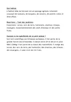 Aperçu - Feuilles d'exercices - cycle de vie du hérisson - Page 3