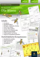 Vorschau - Arbeitsblätter - Bienen - komplette Unterrichtseinheit | Klasse 5-7 - Deckblatt
